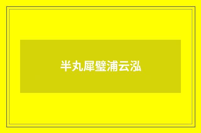 半丸犀璧浦云泓