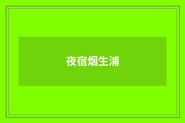 夜宿烟生浦