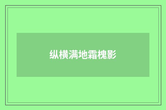 纵横满地霜槐影