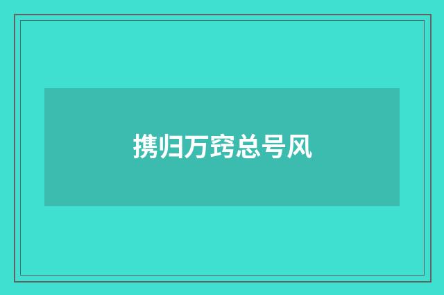 携归万窍总号风