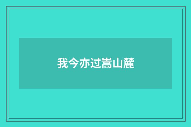 我今亦过嵩山麓