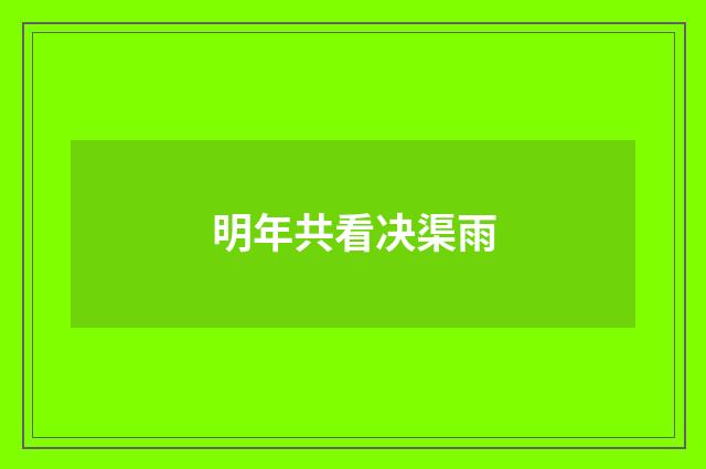 明年共看决渠雨