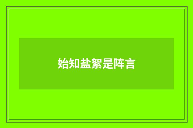 始知盐絮是阵言