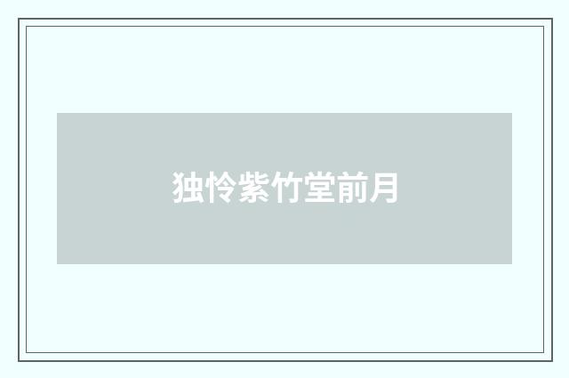 独怜紫竹堂前月