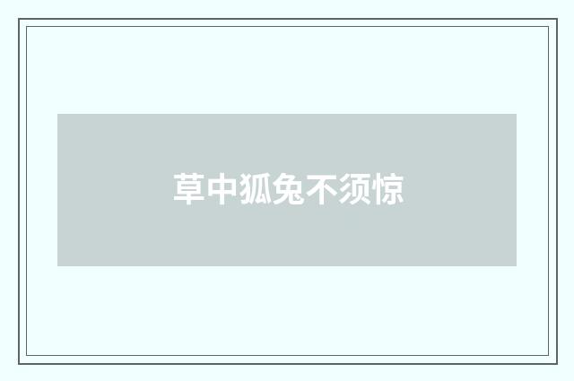 草中狐兔不须惊