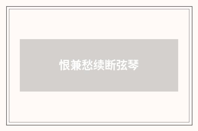 恨兼愁续断弦琴