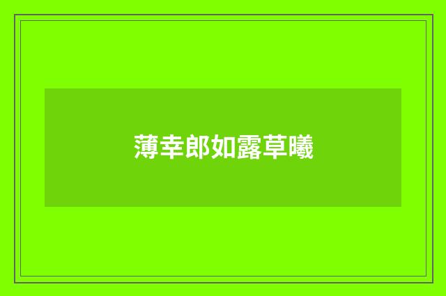 薄幸郎如露草曦