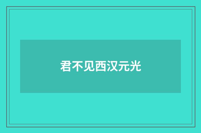 君不见西汉元光