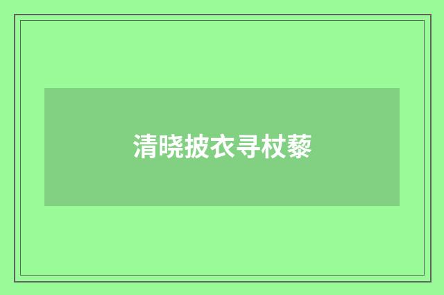 清晓披衣寻杖藜