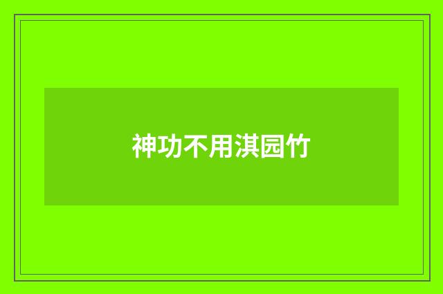 神功不用淇园竹