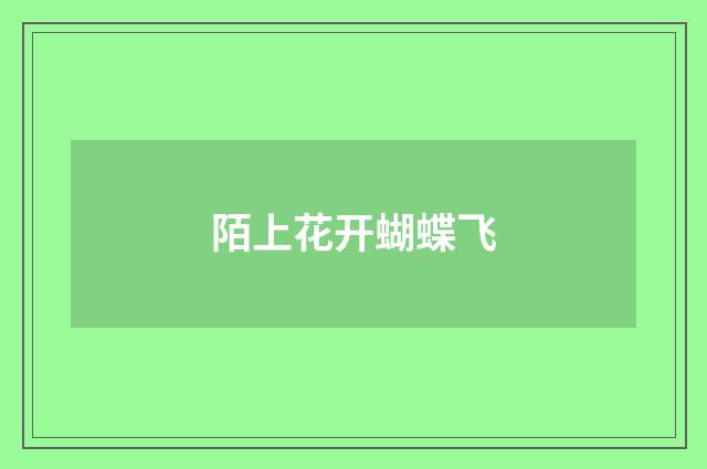 陌上花开蝴蝶飞
