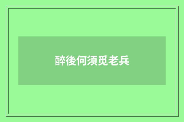 醉後何须觅老兵