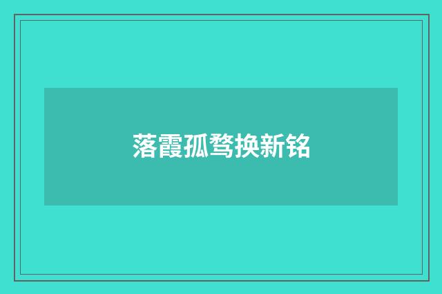 落霞孤骛换新铭