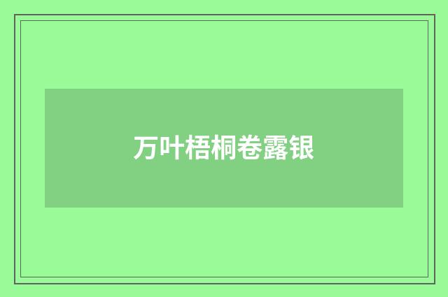 万叶梧桐卷露银