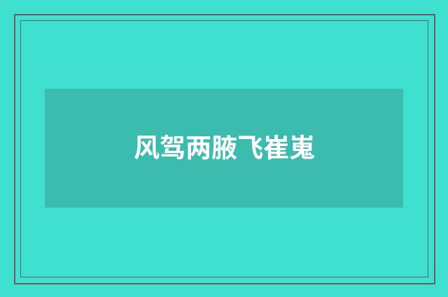 风驾两腋飞崔嵬