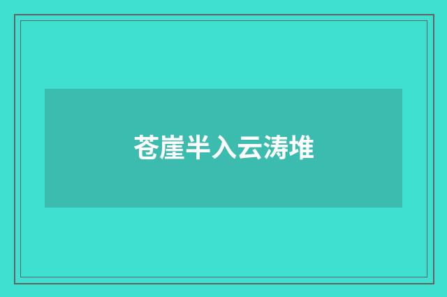 苍崖半入云涛堆