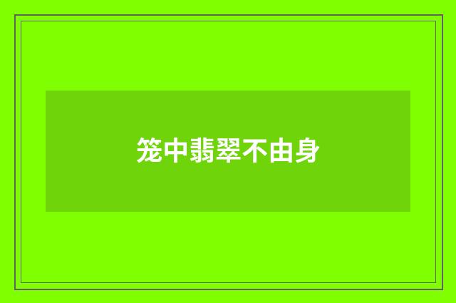 笼中翡翠不由身