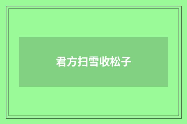 君方扫雪收松子
