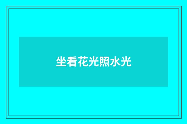 坐看花光照水光
