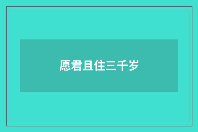 愿君且住三千岁