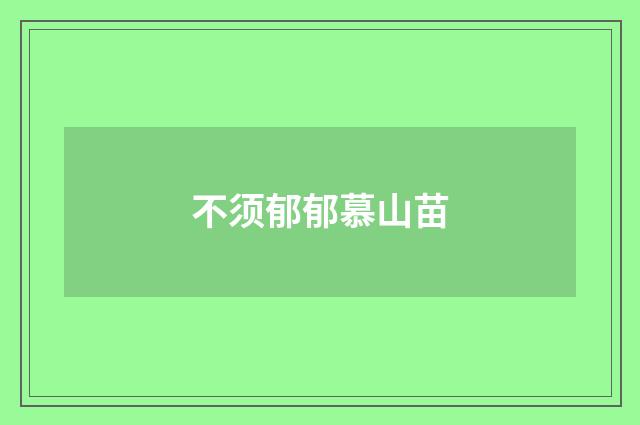 不须郁郁慕山苗
