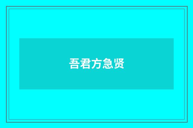 吾君方急贤