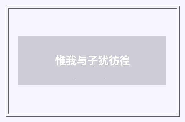 惟我与子犹彷徨