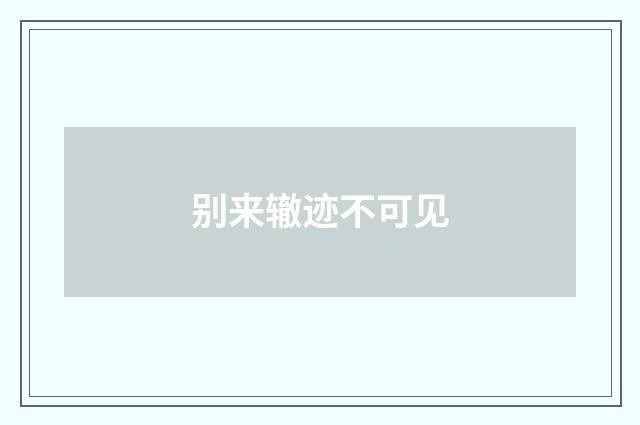 别来辙迹不可见