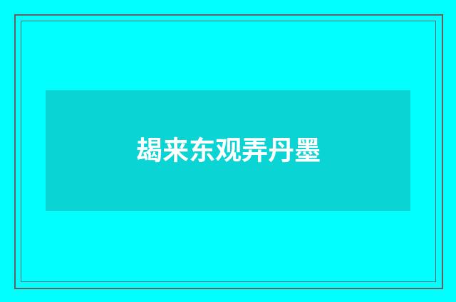 朅来东观弄丹墨