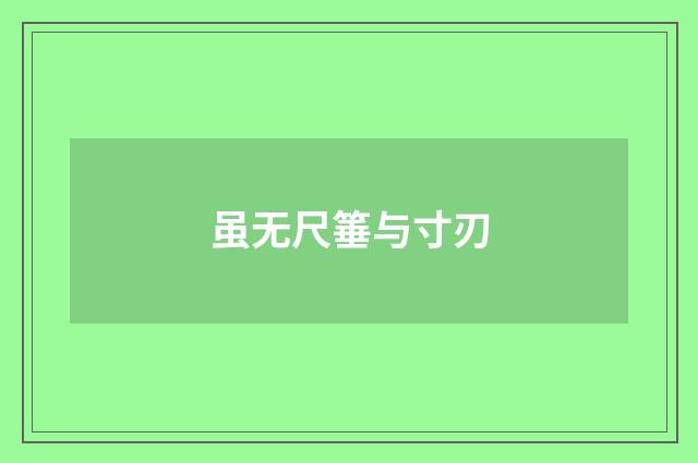 虽无尺箠与寸刃
