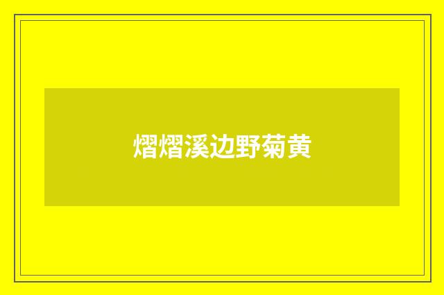 熠熠溪边野菊黄