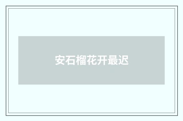 安石榴花开最迟