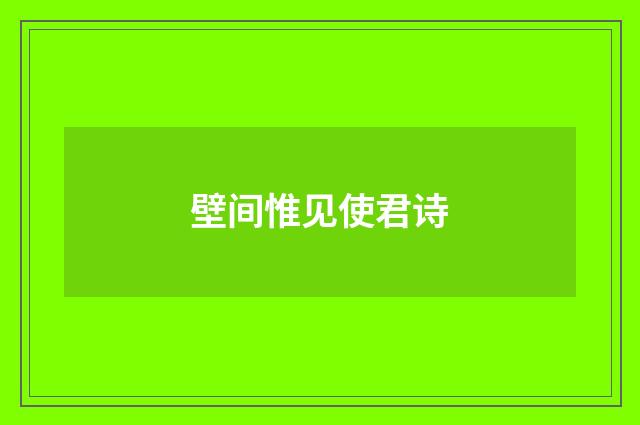 壁间惟见使君诗