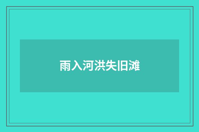 雨入河洪失旧滩