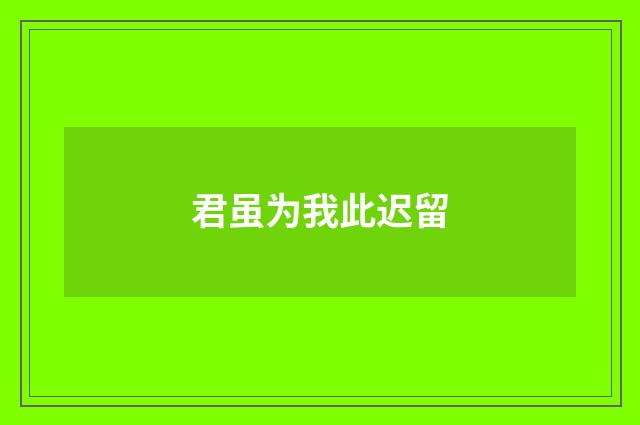 君虽为我此迟留