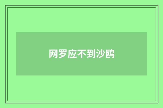 网罗应不到沙鸥