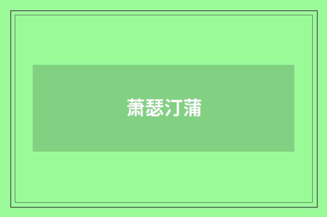 萧瑟汀蒲