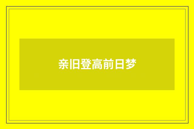亲旧登高前日梦