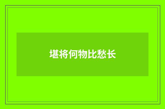 堪将何物比愁长