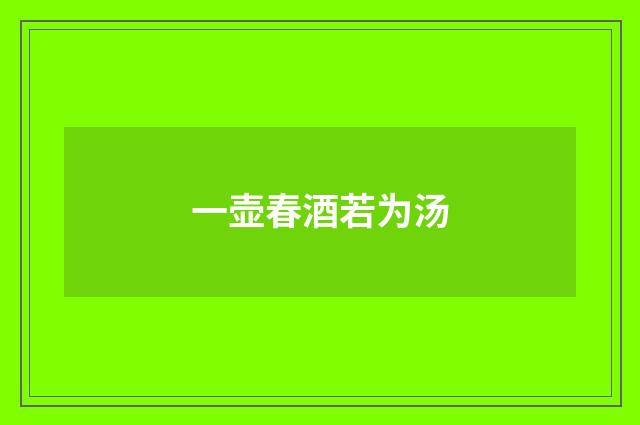 一壶春酒若为汤