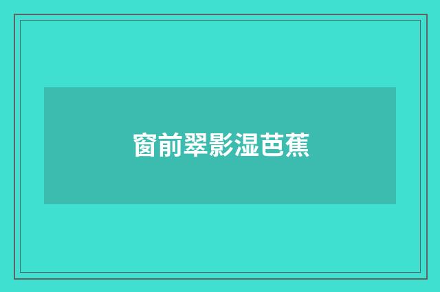 窗前翠影湿芭蕉