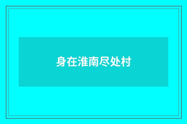 身在淮南尽处村