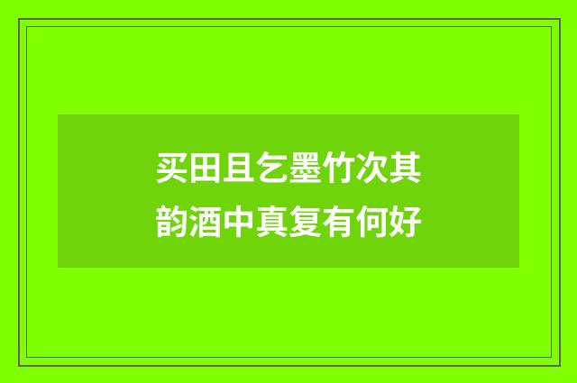 买田且乞墨竹次其韵酒中真复有何好