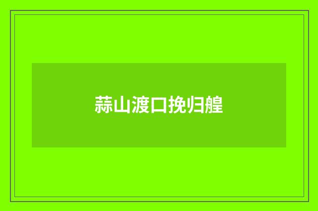 蒜山渡口挽归艎