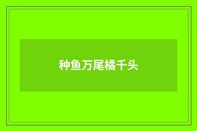 种鱼万尾橘千头