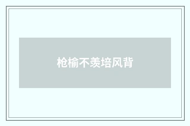 枪榆不羡培风背
