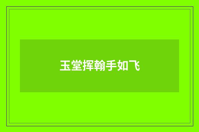 玉堂挥翰手如飞