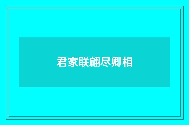 君家联翩尽卿相