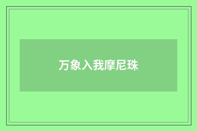 万象入我摩尼珠