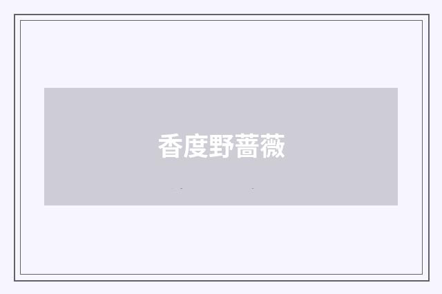 香度野蔷薇
